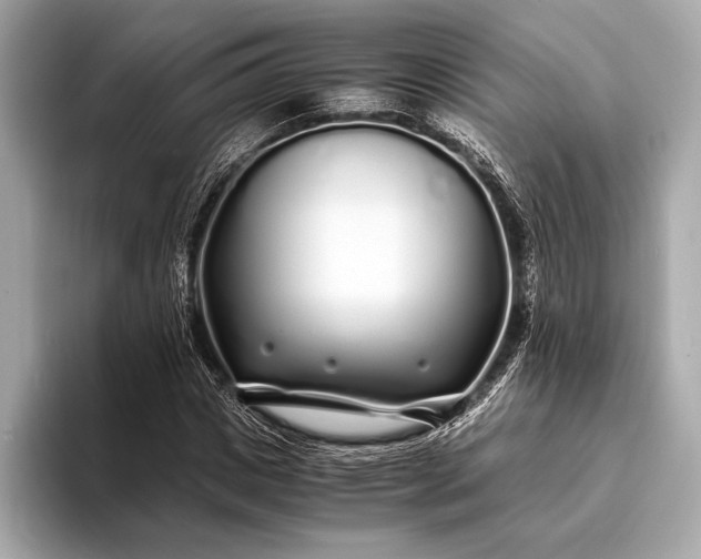 X0000094080825200711021511