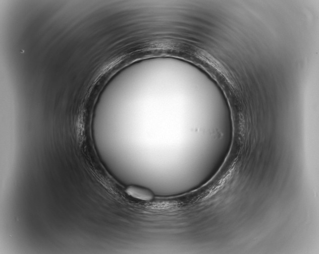 X0000094080826200711021511