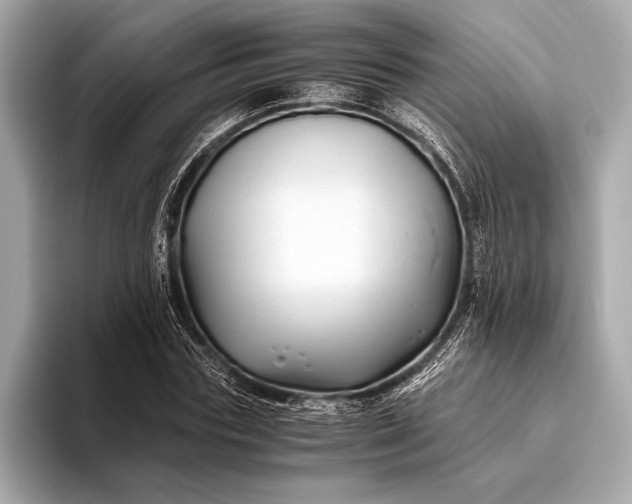 X0000094080827200711021511