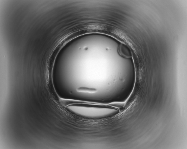 X0000094080829200711021511