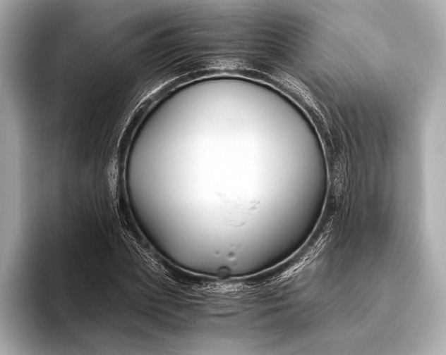 X0000094080831200711021511