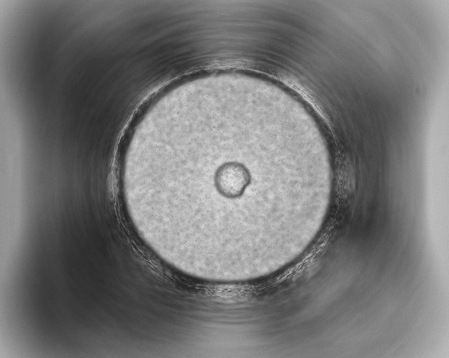 X0000094080832200711021512