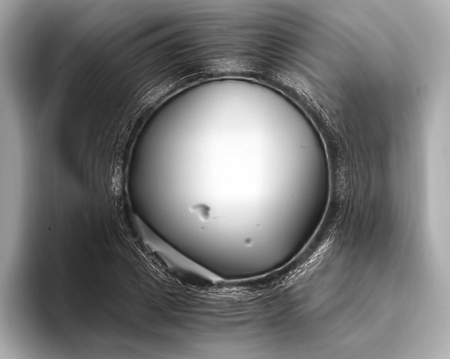 X0000094080833200711021512