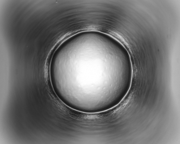 X0000094080835200711021512