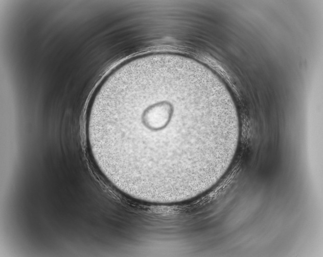 X0000094080836200711021512