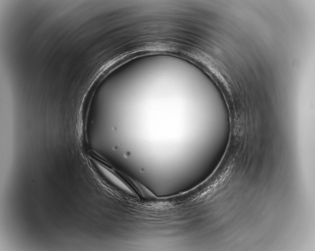 X0000094080837200711021512