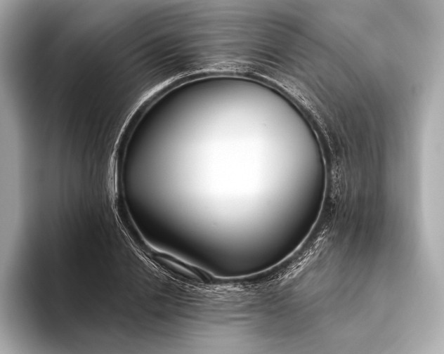 X0000094080838200711021512