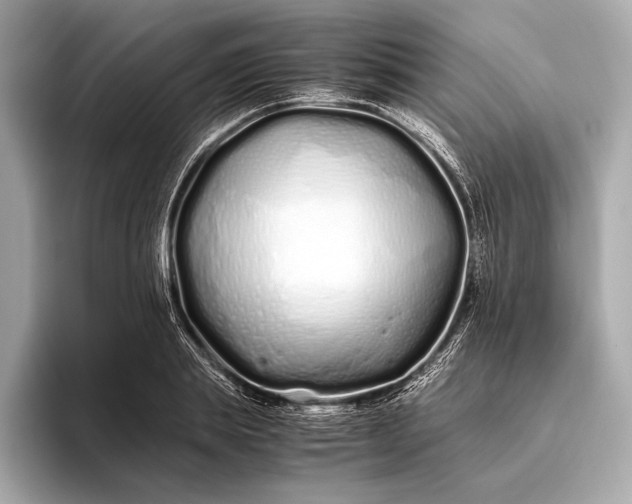 X0000094080839200711021512