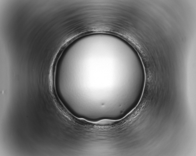 X0000094080840200711021512