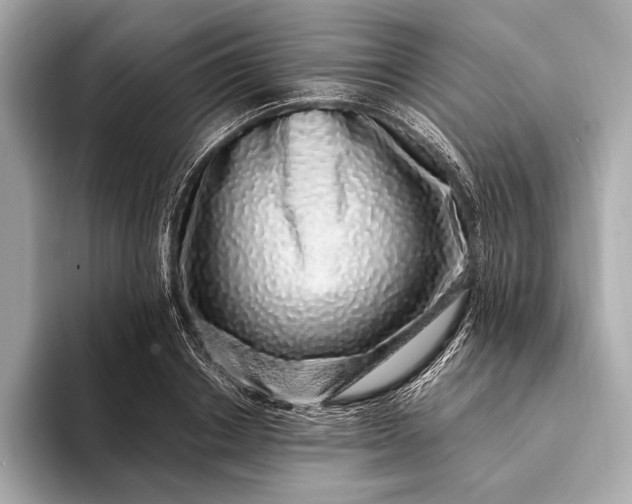 X0000094080842200711021512