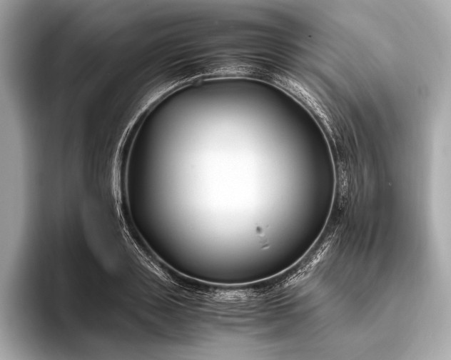 X0000094080843200711021512