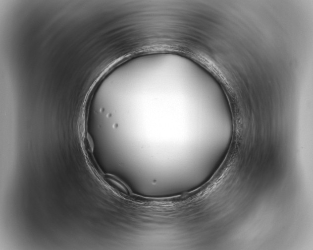 X0000094080844200711021512