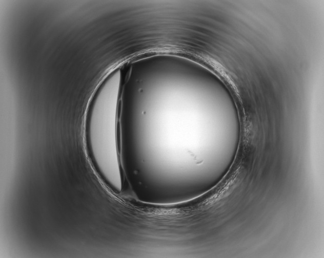 X0000094080845200711021512