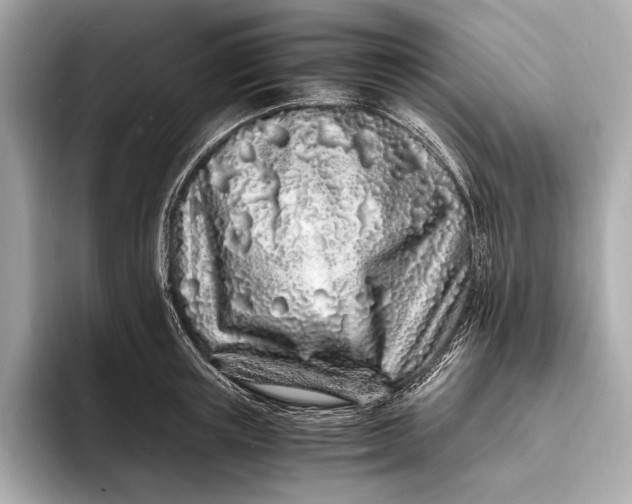 X0000094080851200711021512