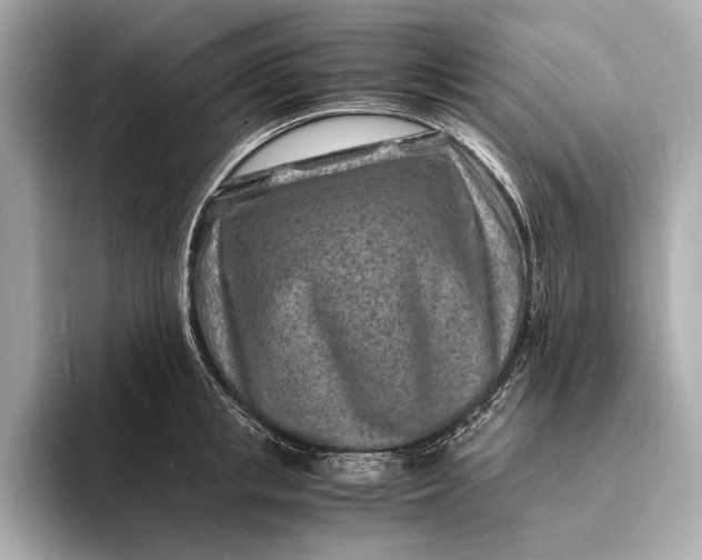 X0000094080853200711021512