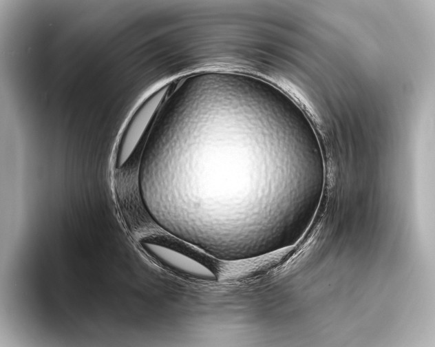 X0000094080854200711021512