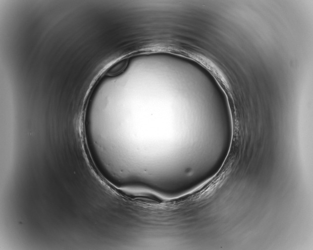 X0000094080855200711021512