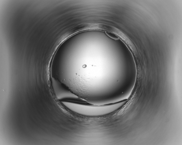 X0000094080858200711021512