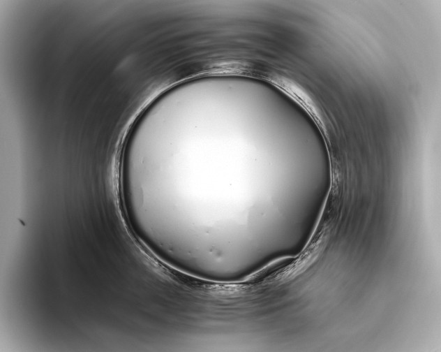 X0000094080859200711021512