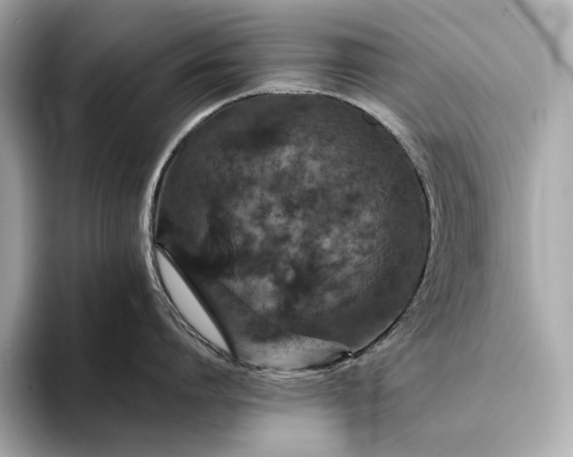 X0000094080864200711021512