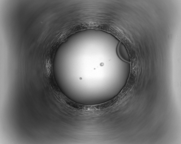 X0000094080866200711021511