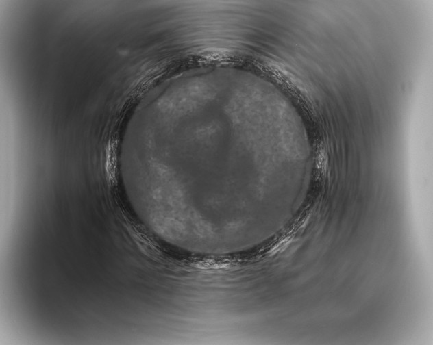 X0000094080868200711021511