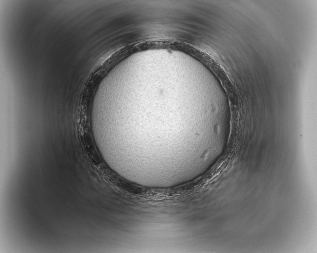 X0000094080871200711021511