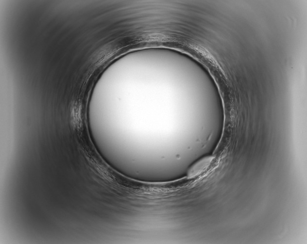 X0000094080873200711021511