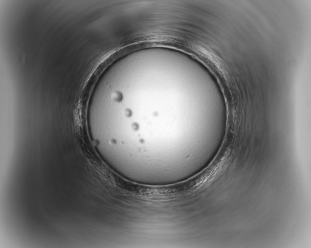 X0000094080875200711021511