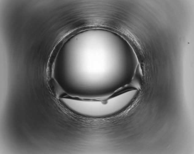 X0000094080876200711021511