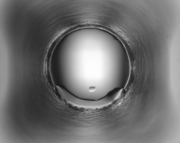 X0000094080877200711021511