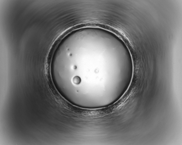 X0000094080879200711021511