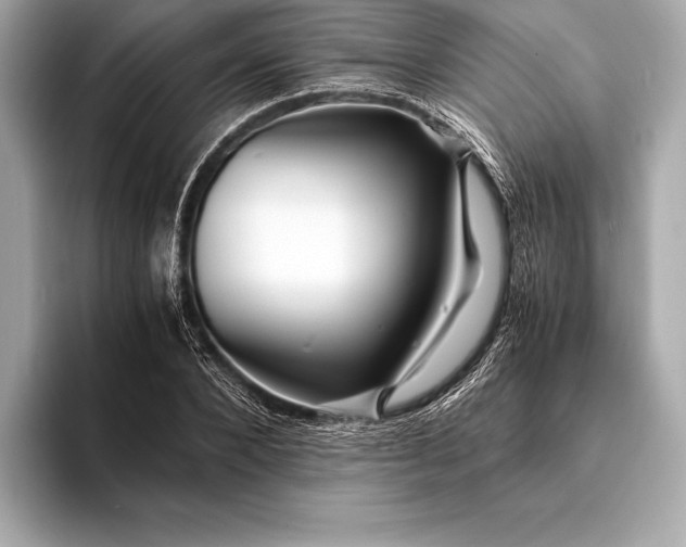 X0000094080880200711021511