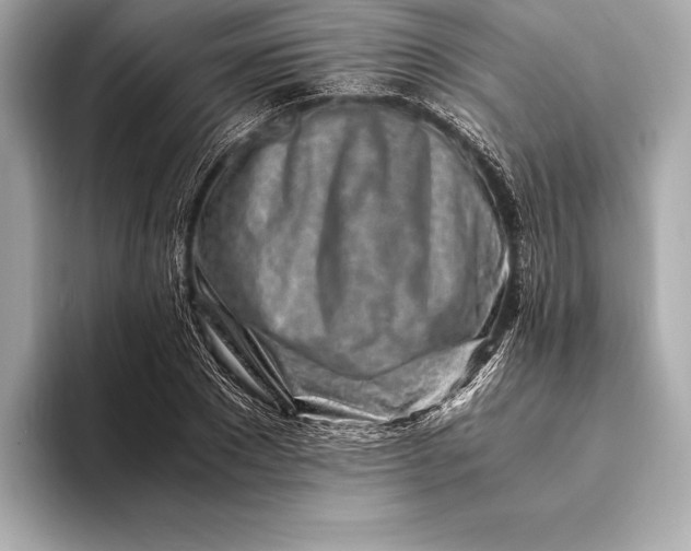 X0000094080881200711021511