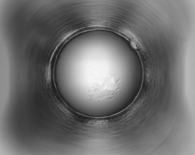 X0000094080884200711021511