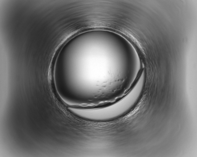 X0000094080885200711021511