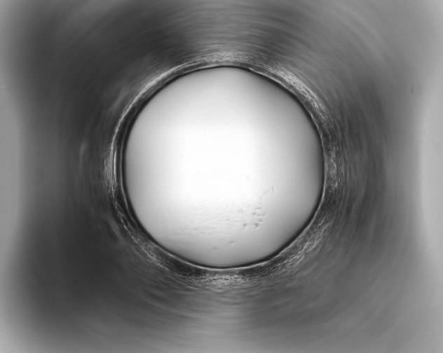 X0000094080886200711021511