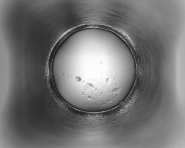 X0000094080887200711021511