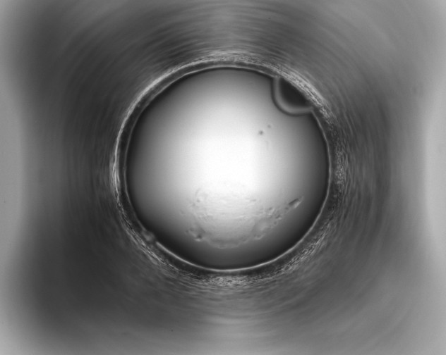 X0000094080888200711021511