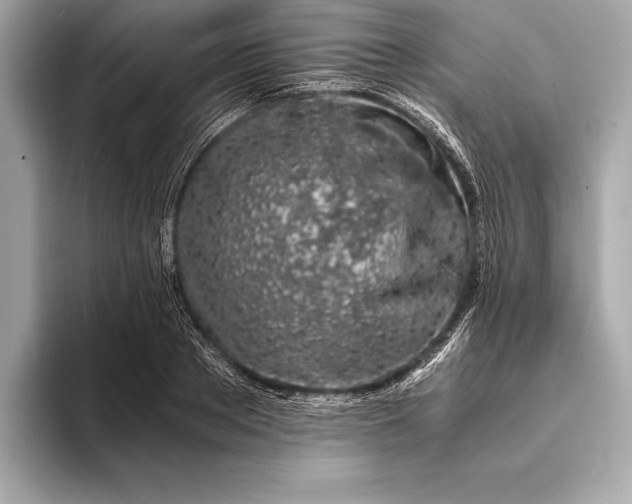 X0000094080889200711021511