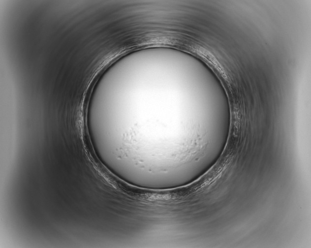 X0000094080890200711021511