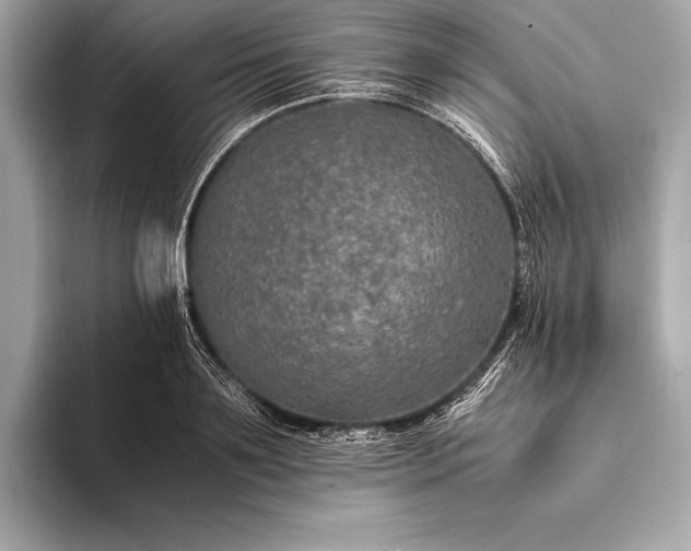 X0000094080891200711021511