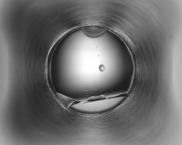 X0000094080894200711021511