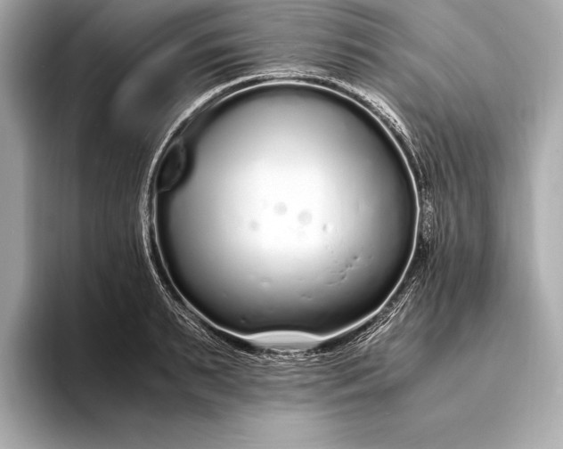 X0000094080895200711021511