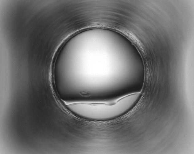 X0000094080896200711021511