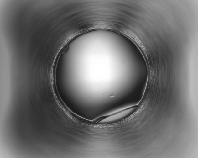 X0000094080898200711021511