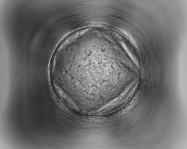 X0000094080899200711021511