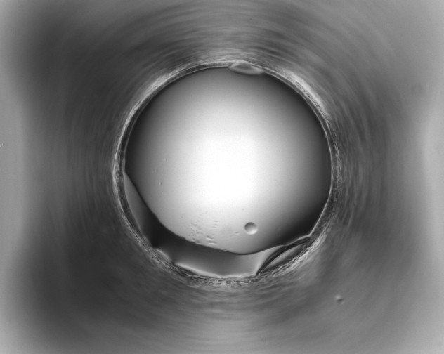 X0000094080901200711021511