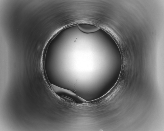 X0000094080902200711021511