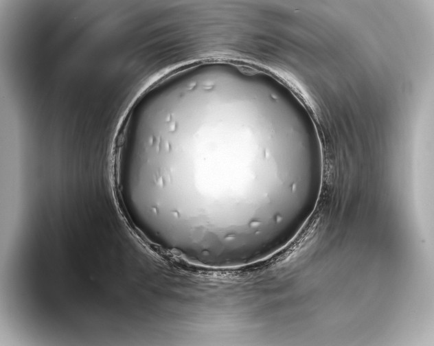 X0000094080903200711021511